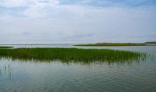 上海郊区自驾游必去十大景点 上海周边自驾一日游